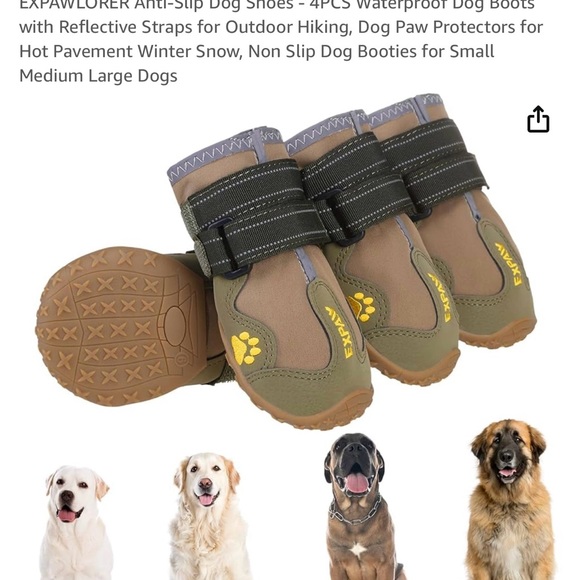 Size 6 Dog Shoes!! - Picture 8 of 12